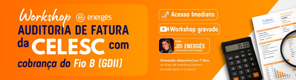 Workshop Auditoria de Fatura da Celesc com Fio B (GDII)