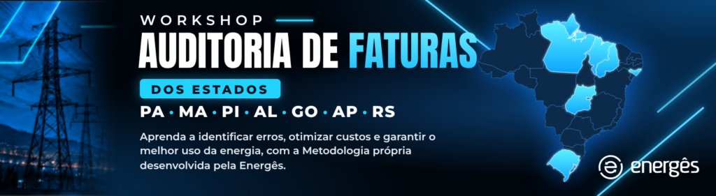 Workshop Auditoria de Faturas dos estados: PA, MA, PI, AL, GO, AP e RS